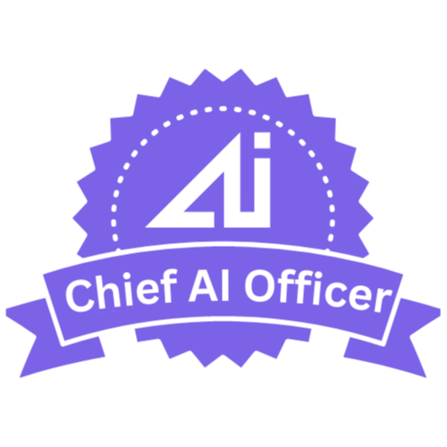 Chief AI Officer Outsourcing Service